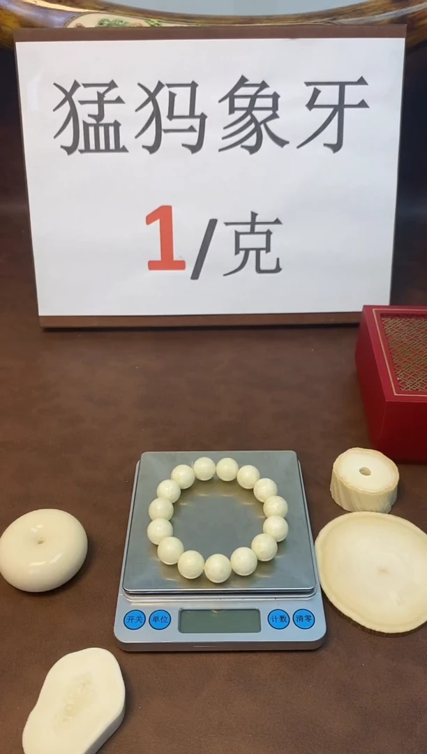 猛犸海胖满脑14mm圆珠单圈
