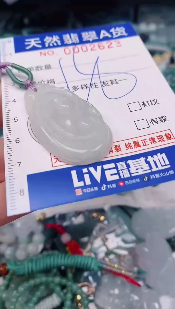 颈饰未镶嵌翡翠00002623