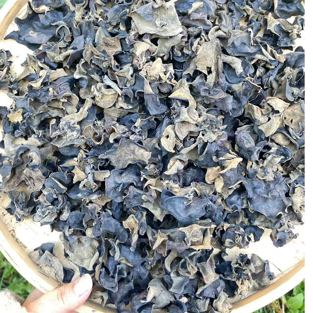 西藏高海拔黑木耳