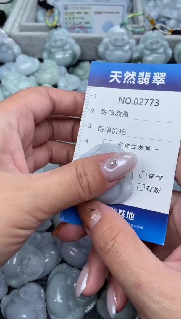 颈饰未镶嵌翡翠纯天然A货翡翠2773