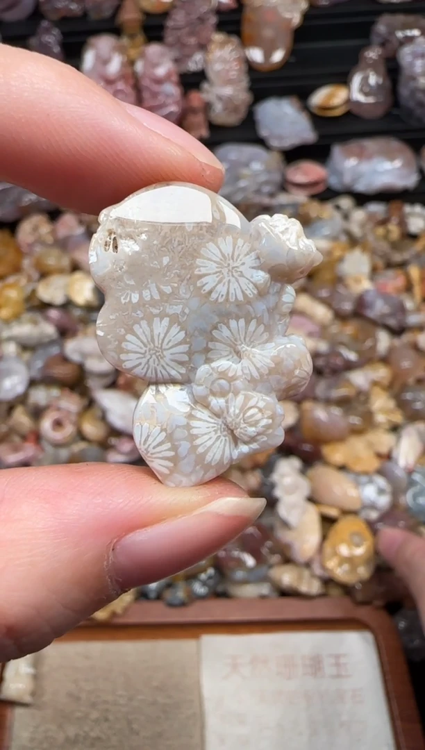 颈饰未镶嵌硅化珊瑚（珊瑚玉）431