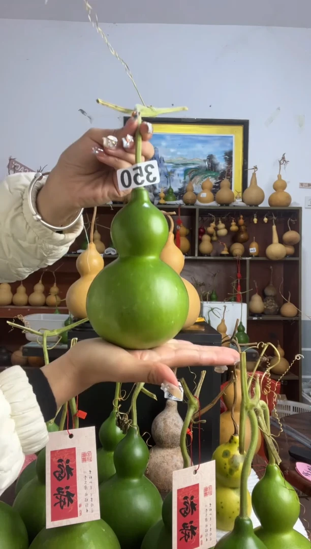 350天然葫芦摆件 一物一拍龙头不保售后