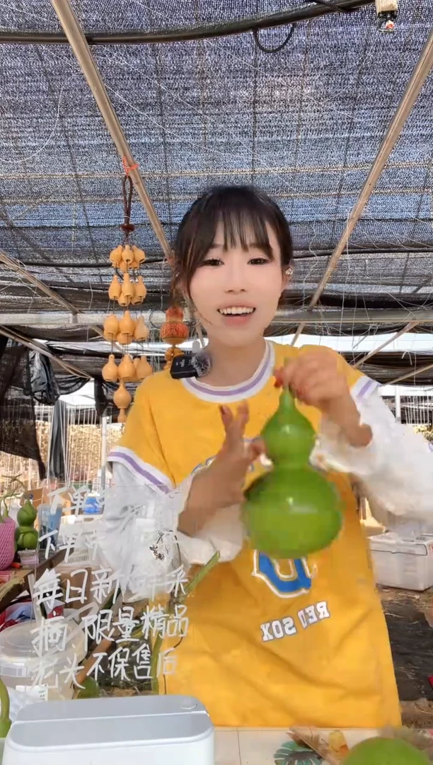 549天然葫芦摆件 一物一拍龙头不保售后