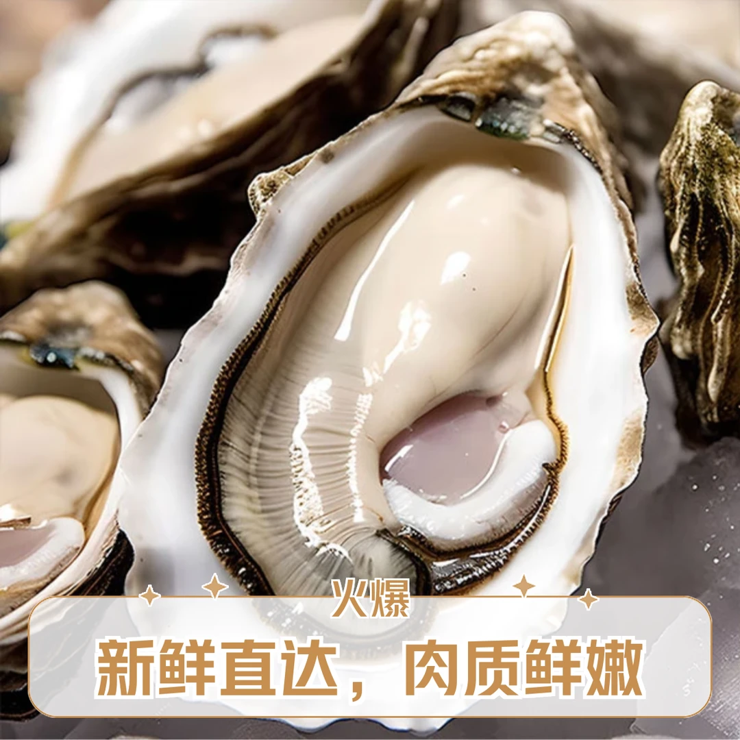 精品乳山生蚝海鲜水产海蛎子新鲜牡蛎海鲜