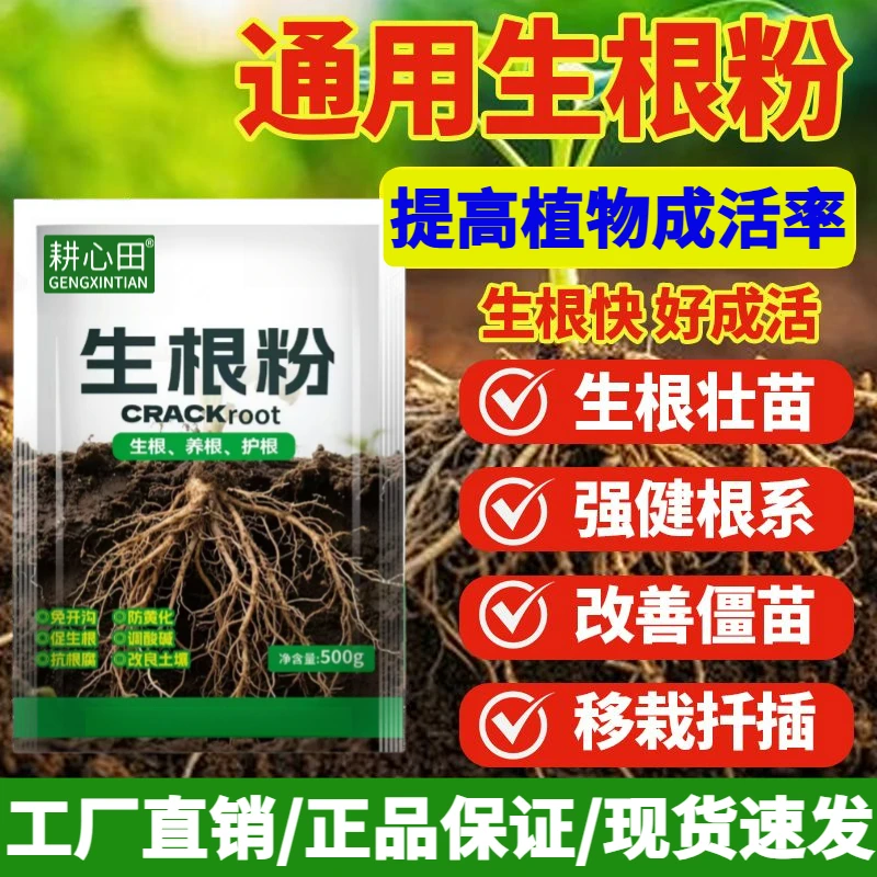 生根粉方瑞蔬菜花卉多肉育苗生根养根护根扦插移栽强力生根壮苗剂
