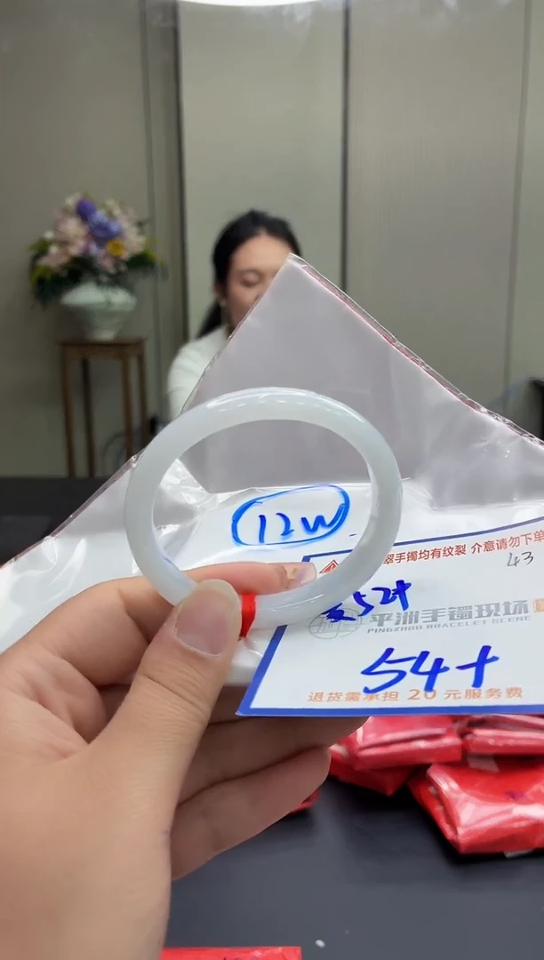 未镶嵌手镯翡翠11111