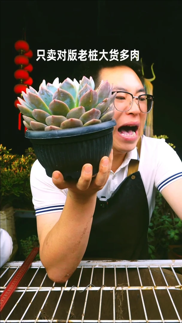 橙梦露5.8满9.9包邮