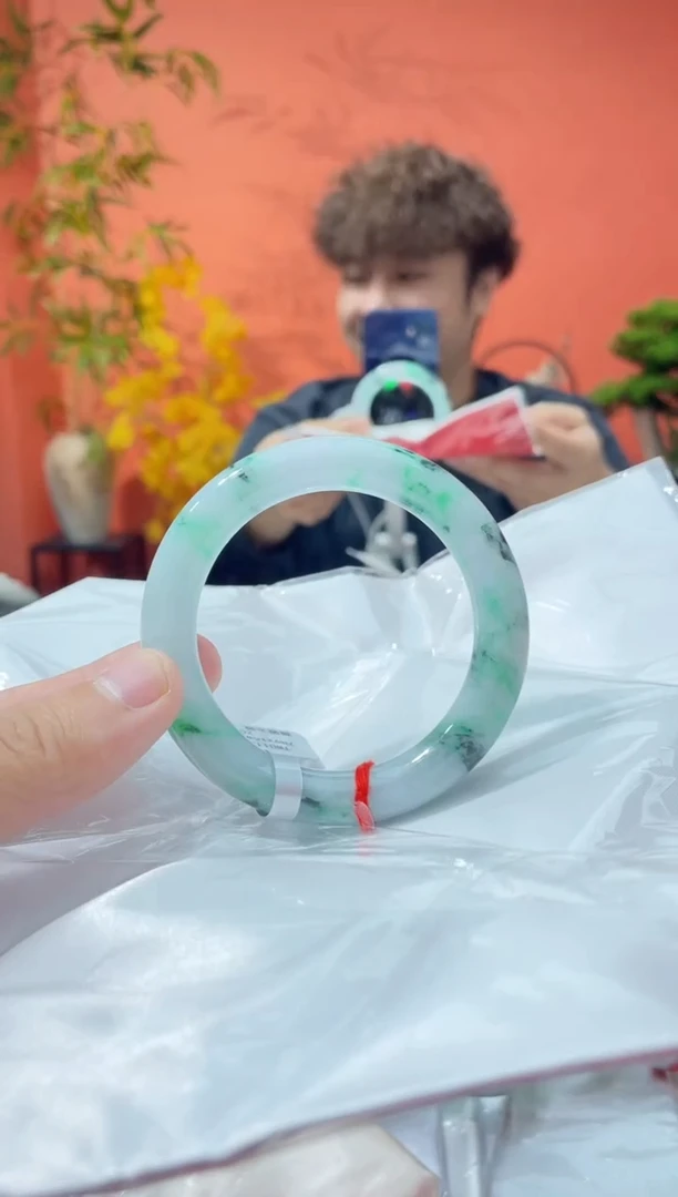 未镶嵌手镯翡翠4