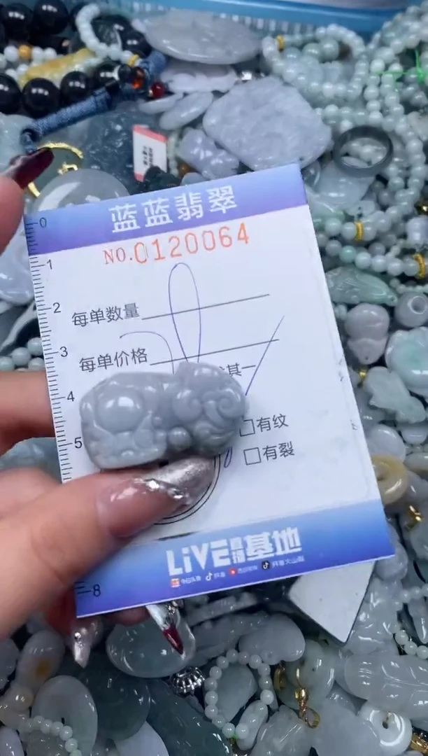 【闪购商品】翡翠颈饰未镶嵌闪购0120064