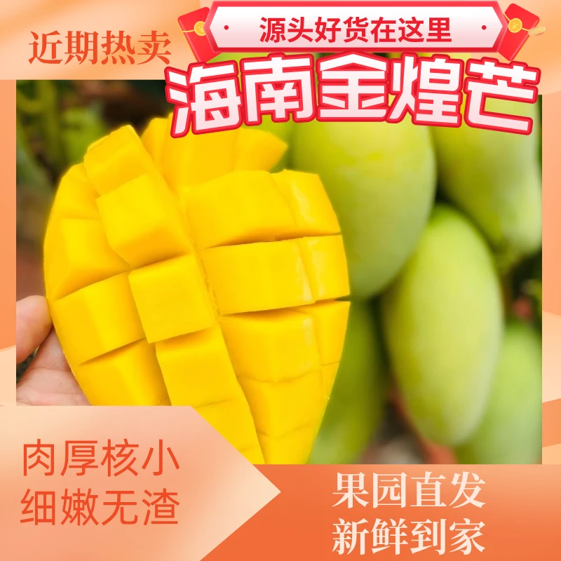 海南现摘现发金煌芒 金煌芒 芒果