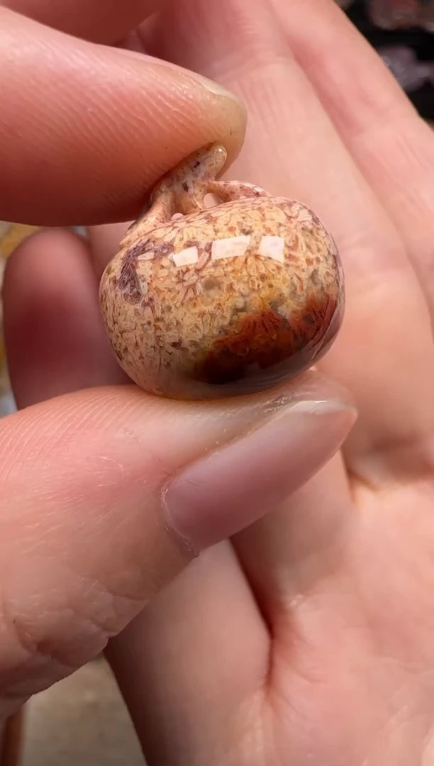 硅化珊瑚（珊瑚玉）未镶嵌颈饰335