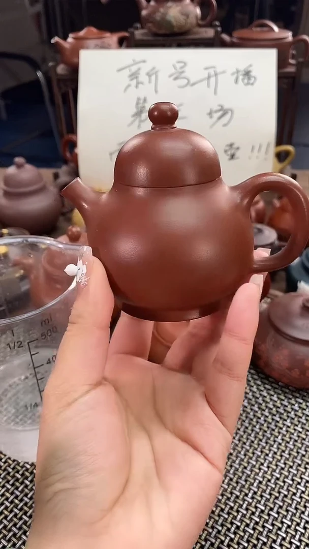 茶壶紫砂朱泥高梨150cc