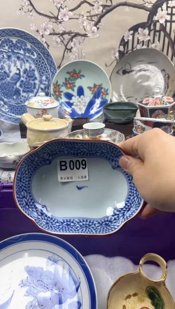 【闪购商品】1瓷片 默认微瑕介意勿拍B009
