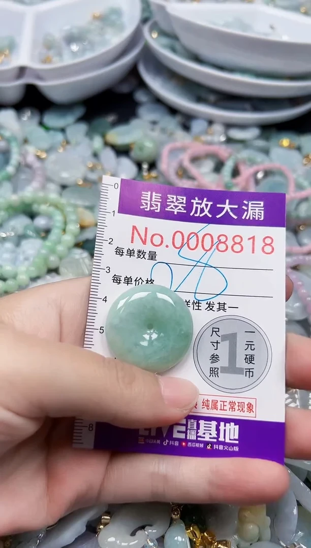 颈饰未镶嵌翡翠8818