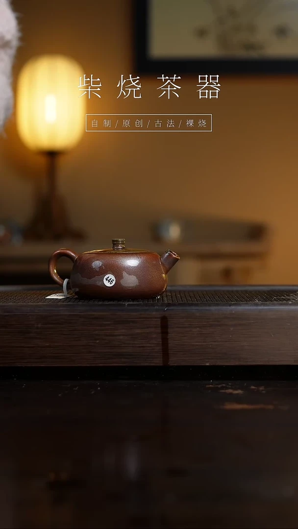 【闪购商品】446观山壶...........