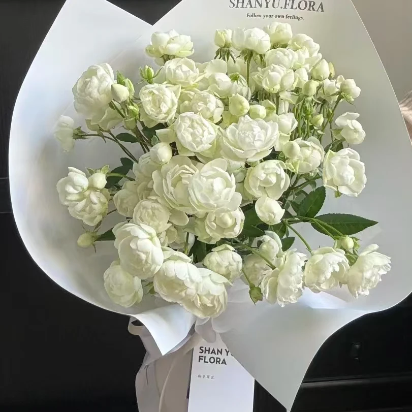 【一品花集】【白泡芙】稀有多头玫瑰（注意：带包装醒花哦~）