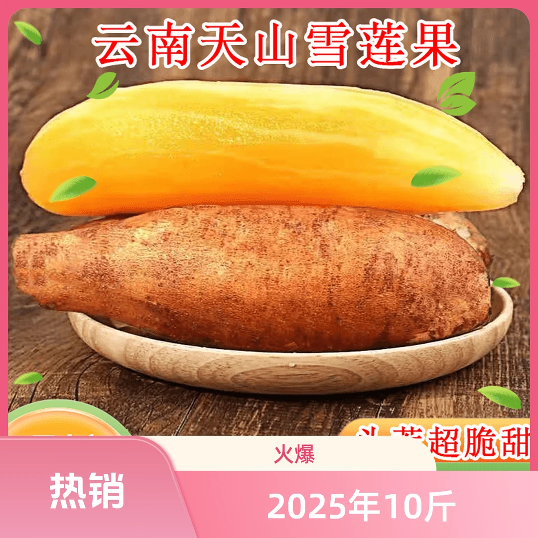 正宗云南天山雪莲果10斤新鲜脆嫩水果应季批发整箱坏果包赔