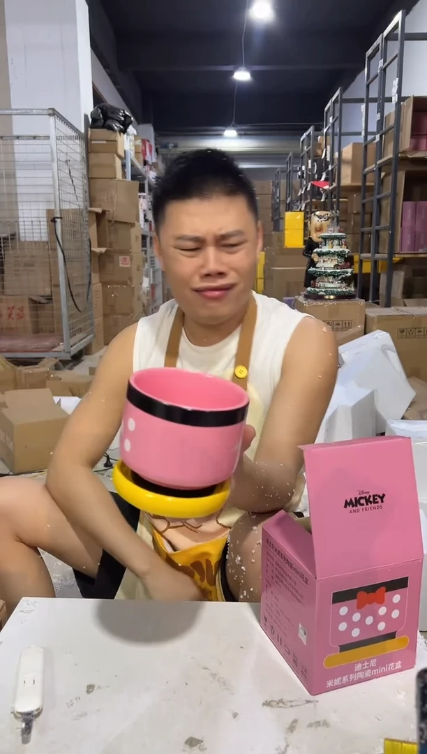 瓷片原盒米妮花盆