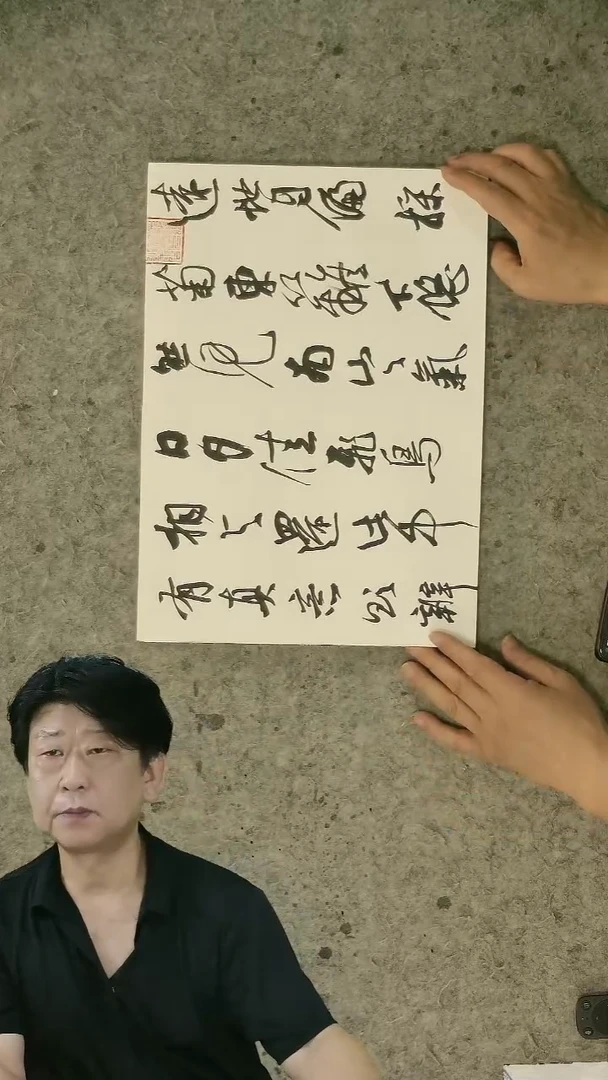 书法28*20cm   24页  书法册页 刘啸老师作品