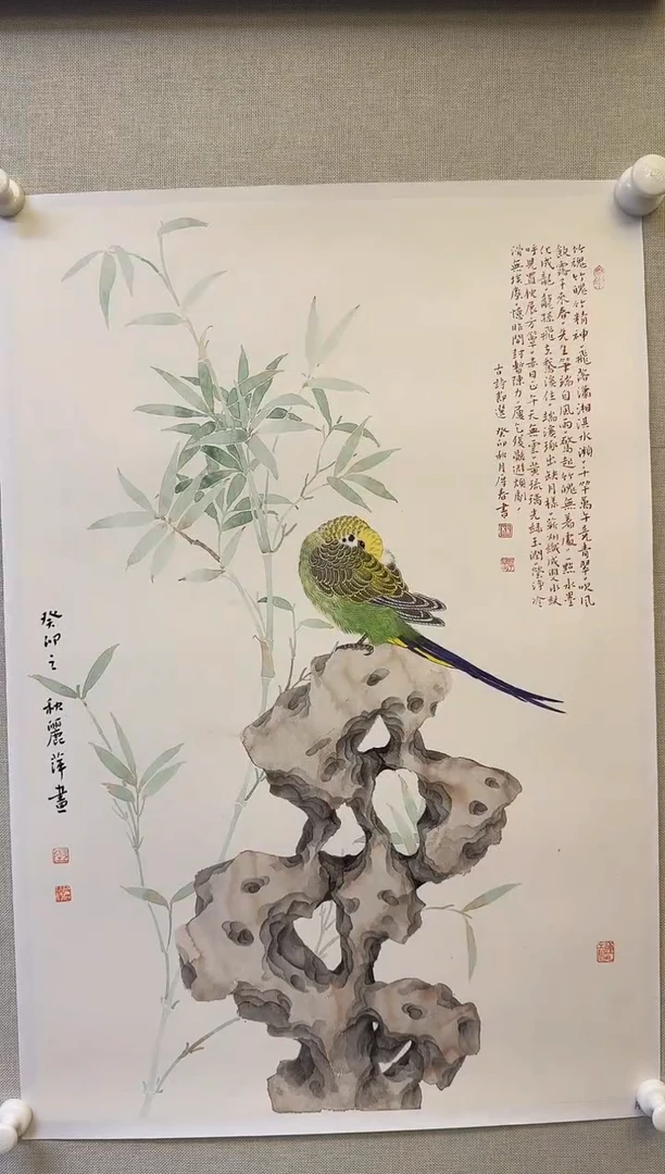 国画y天津人美-张丽萍2.5红袍原作花鸟作品