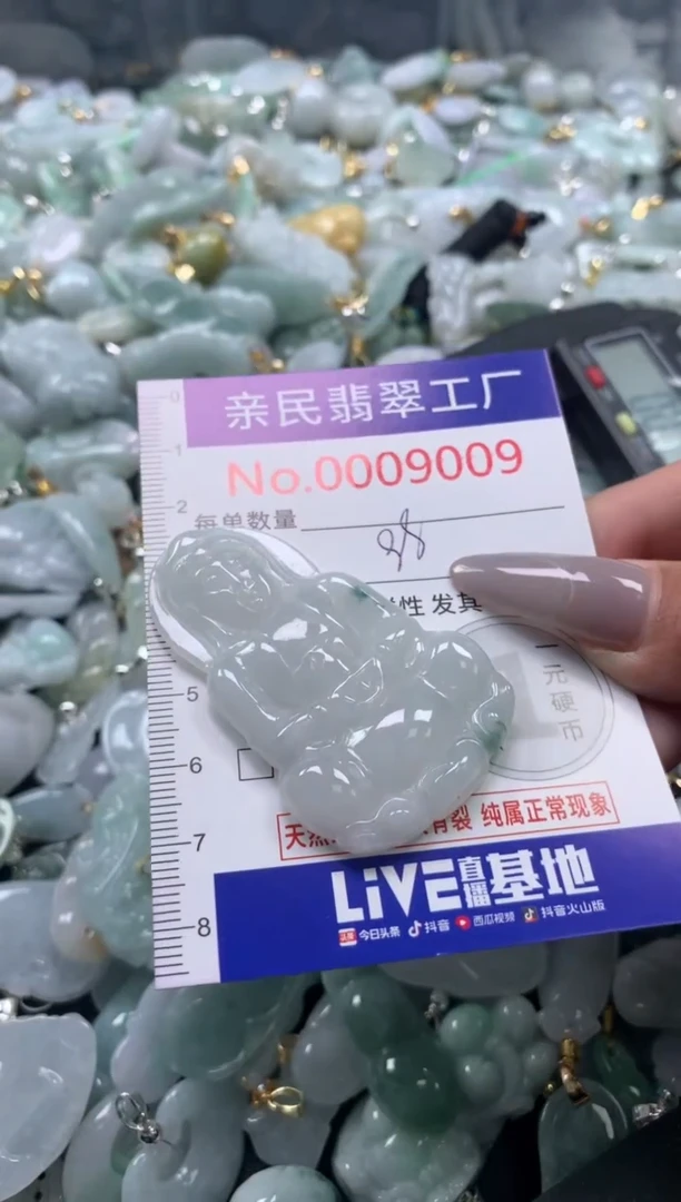 颈饰未镶嵌翡翠9009