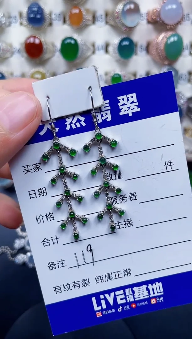 银S925镶嵌翡翠耳饰119