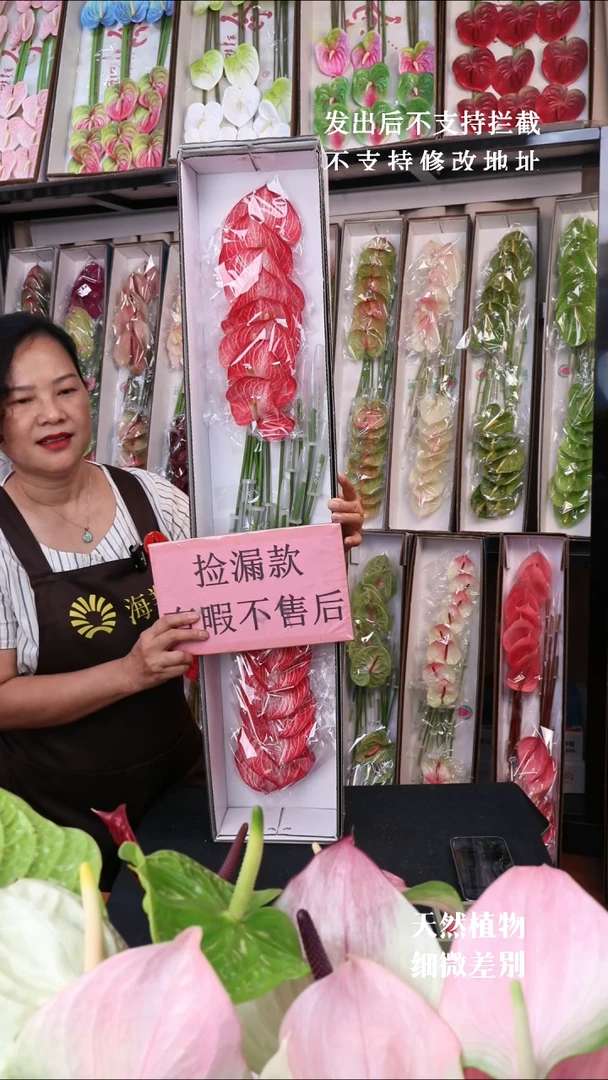 卡多尼亚 16支99包邮！微瑕无售后