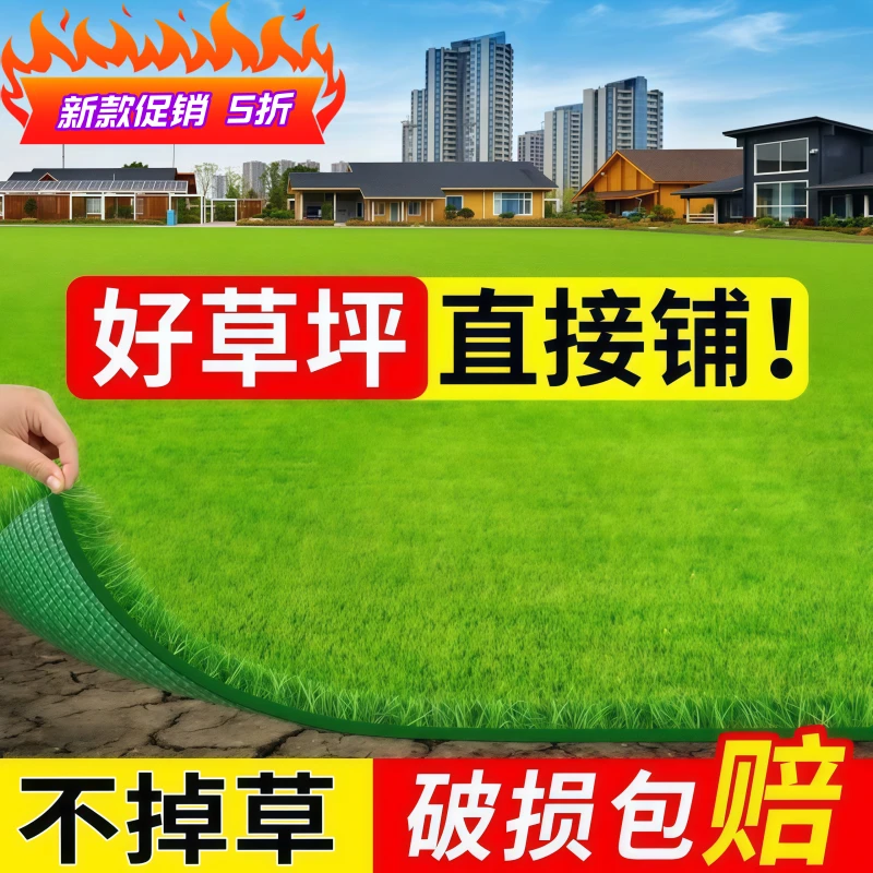 仿真草坪幼儿园绿地防晒阳光房户外屋顶隔热草坪地毯草坪绿地围挡