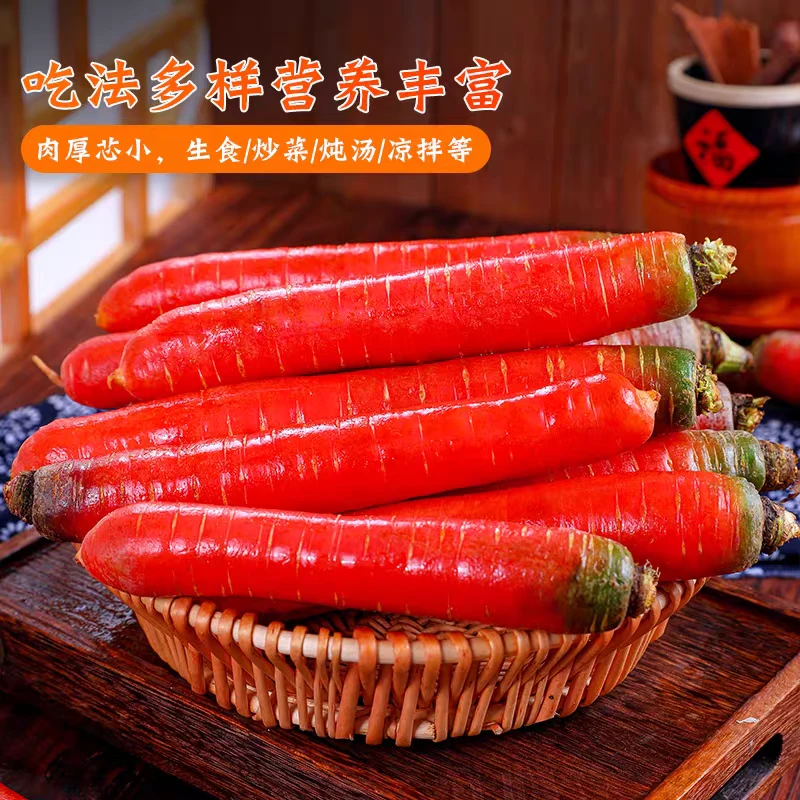 正宗陕西沙地水果萝卜透心红脆嫩甜可生吃时令蔬菜水果新鲜现挖