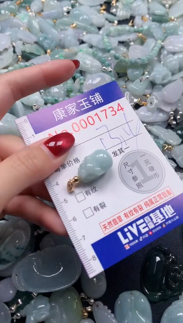 颈饰未镶嵌翡翠1734