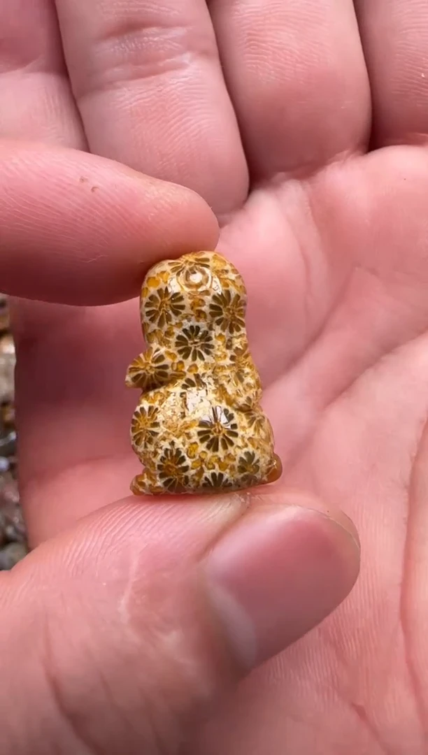 硅化珊瑚（珊瑚玉）未镶嵌颈饰523