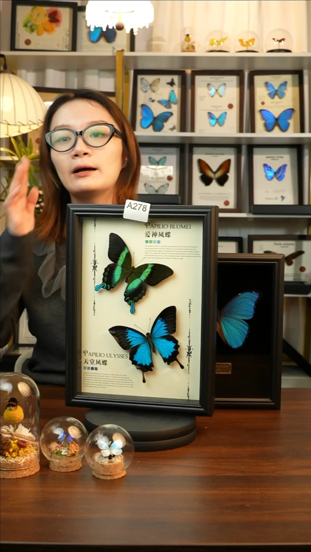 爱神凤蝶天堂凤蝶组合款(A4欧式黑框)A278
