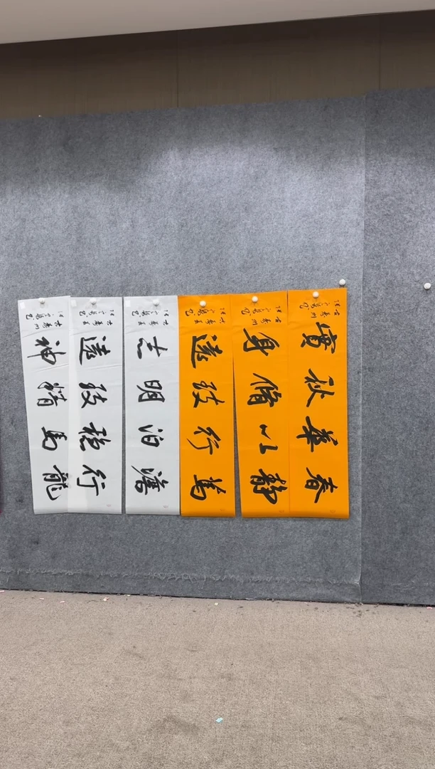 【闪购商品】书法pmw不二轩旗舰店书法ZDQ63