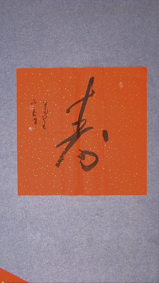 书法朗照玉甘肃兰州69*69（5）