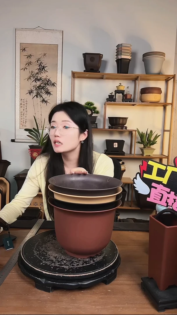 23金钟4只随机颜色