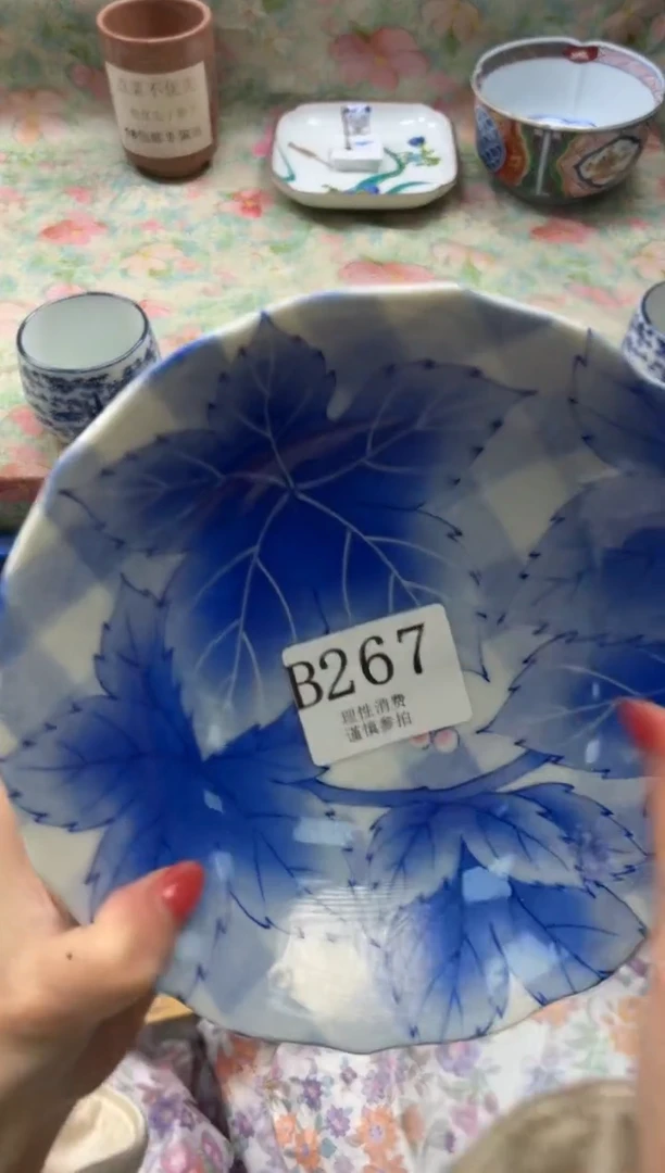 瓷片透**色       B267