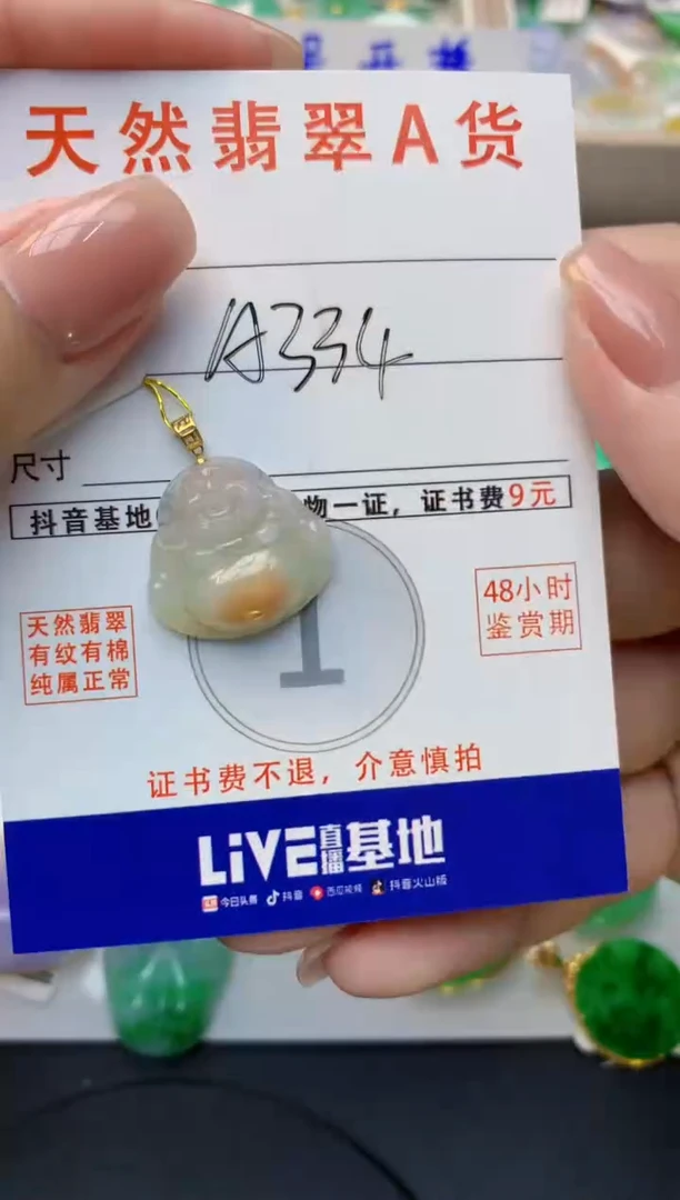 颈饰未镶嵌翡翠天然缅甸A货翡翠