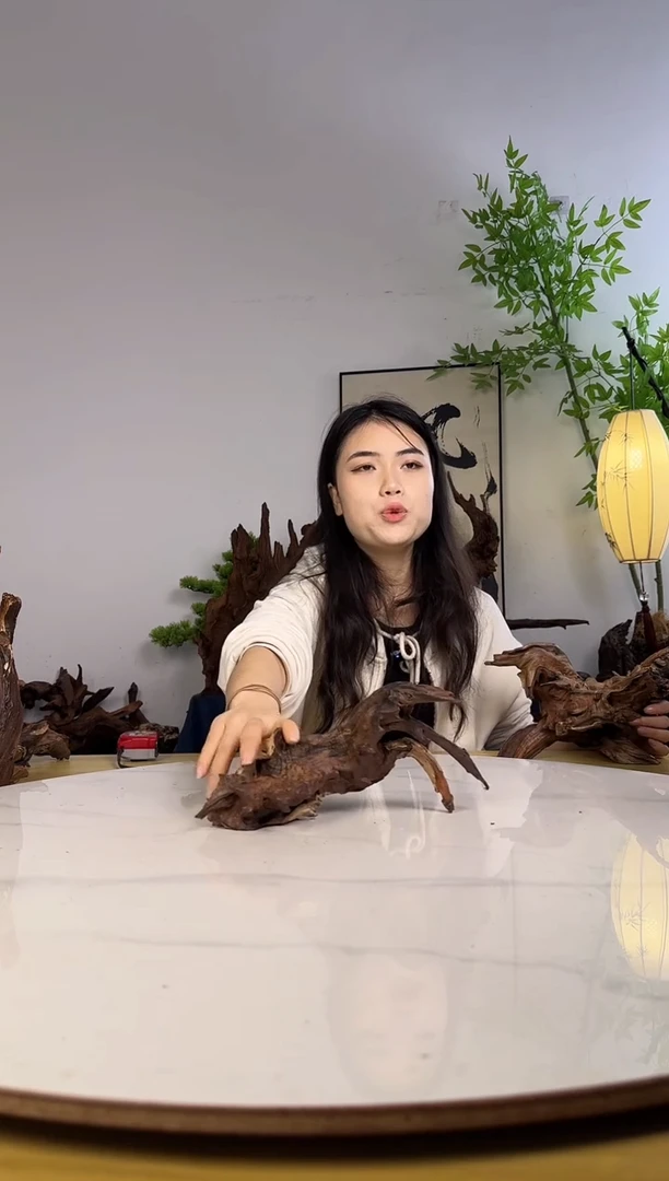 远**人拍沉木定向链接编号14