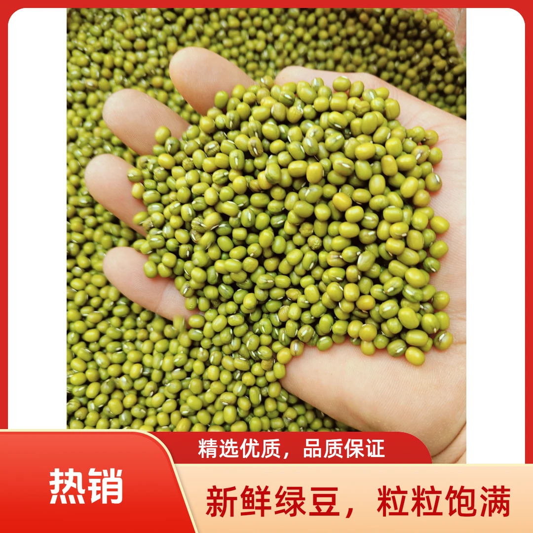 【六哥仓库直发】农家自产薄皮绿豆新鲜饱满易出沙解暑五谷杂粮煮粥