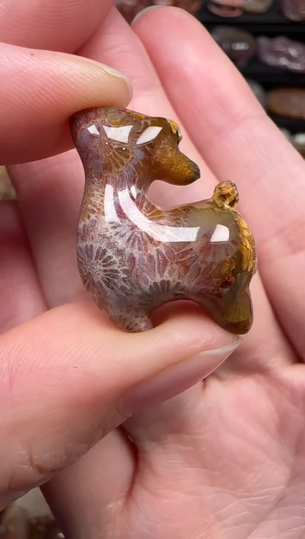 颈饰未镶嵌硅化珊瑚（珊瑚玉）794