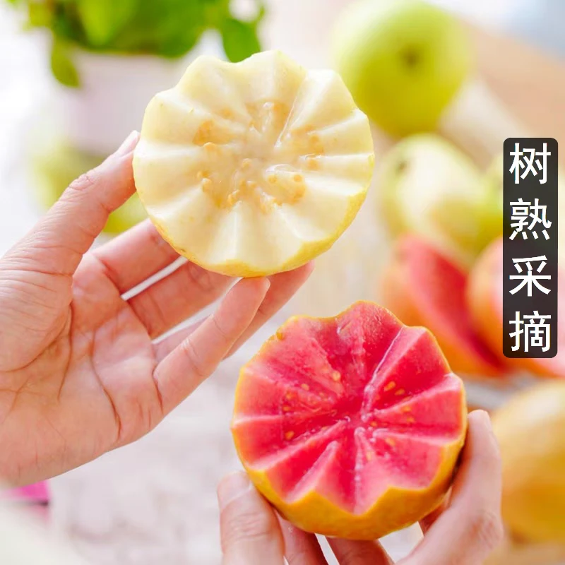 草莓芭乐+奶油芭乐绿野仙芭双拼芭乐礼盒4-6头带箱约2.8斤