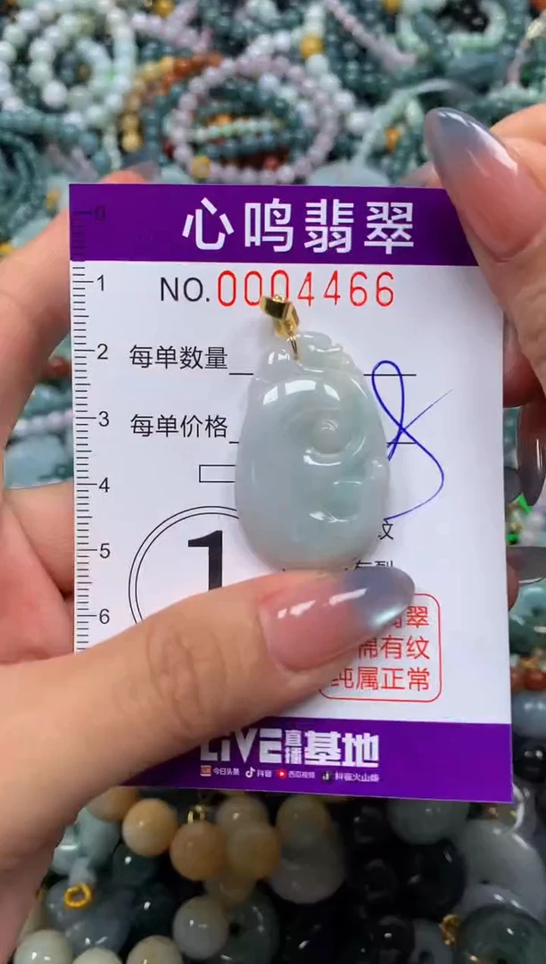 颈饰未镶嵌翡翠闪购004466