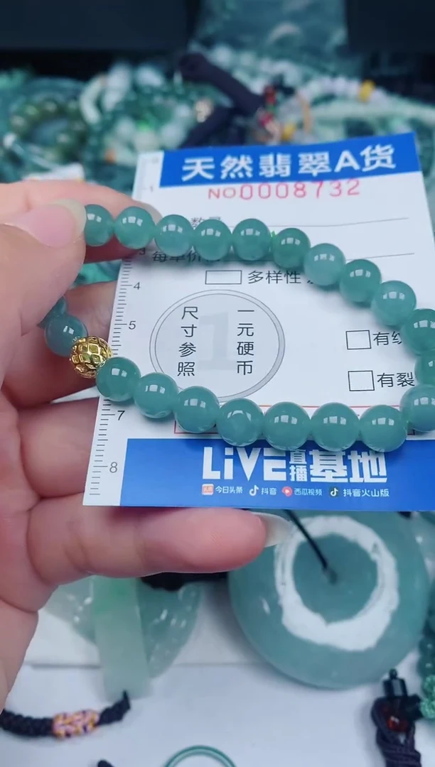 颈饰未镶嵌翡翠00008732