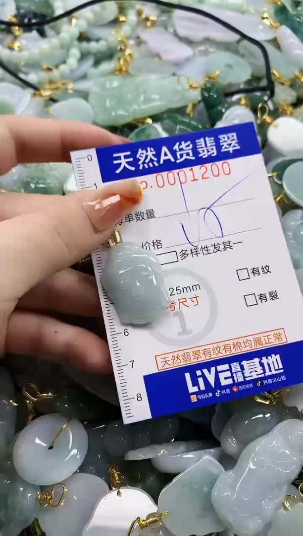 颈饰未镶嵌翡翠天然A货翡翠