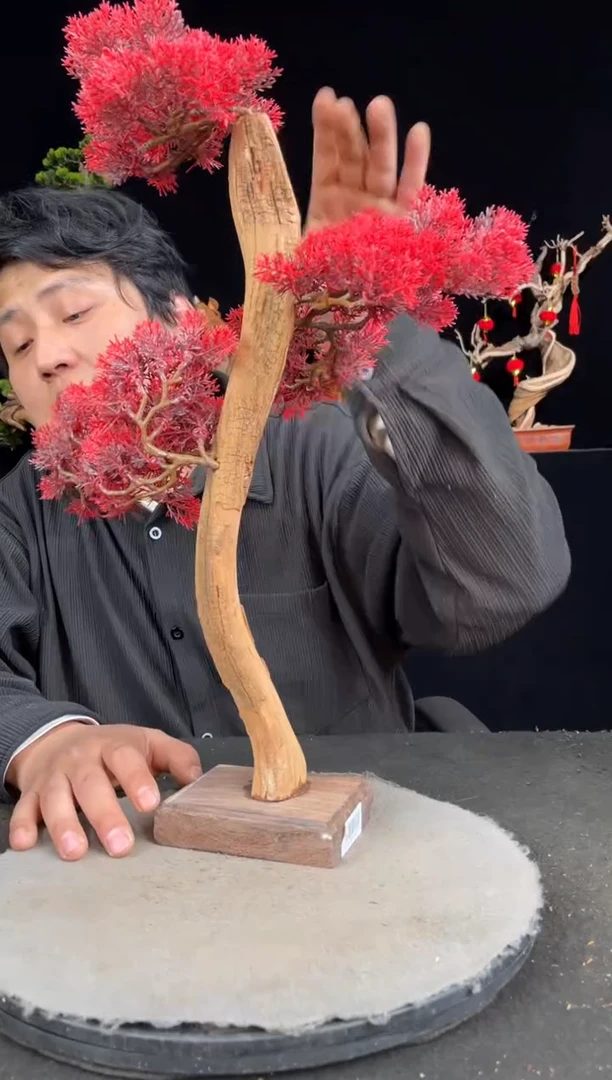 【闪购商品】柏木（崖柏）其他手工摆件,先抢先得!