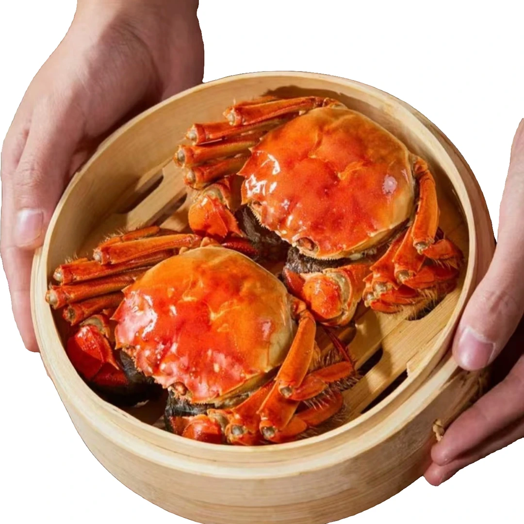 【精品全母蟹活蟹现发】  特大号 江苏苏州精品金标大闸蟹  全母蟹 2.4-2.1两 全国顺丰包邮 买6只送4只 共10只