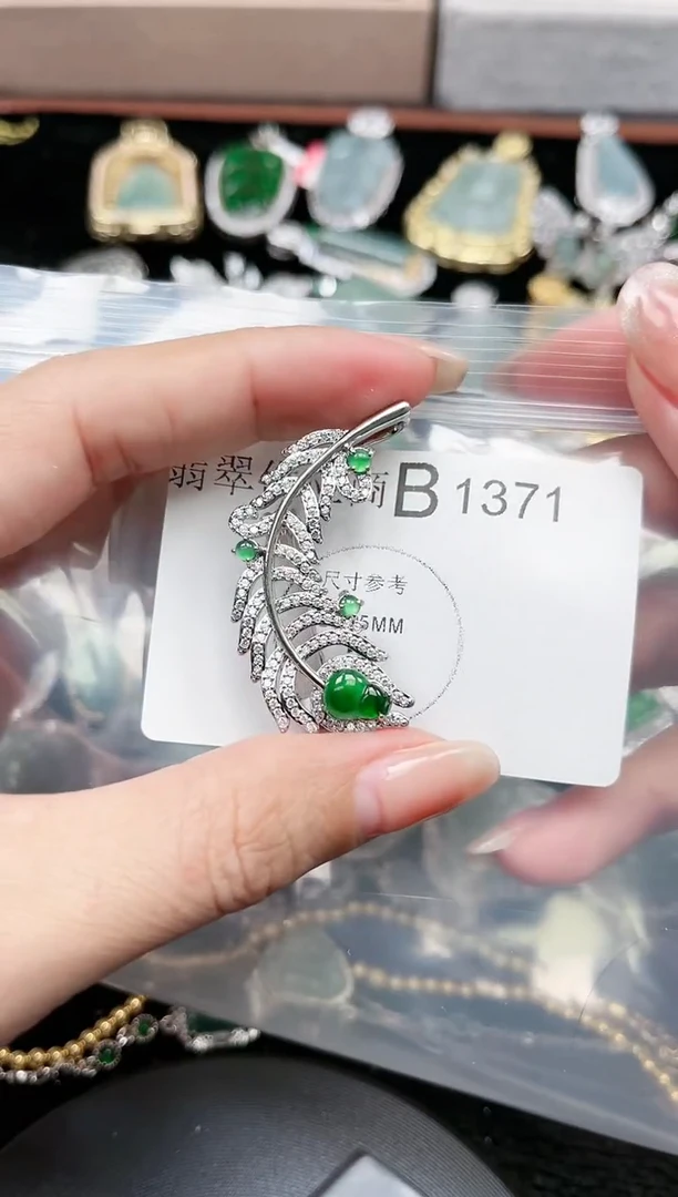 【闪购商品】翡翠颈饰未镶嵌1371赠皮绳