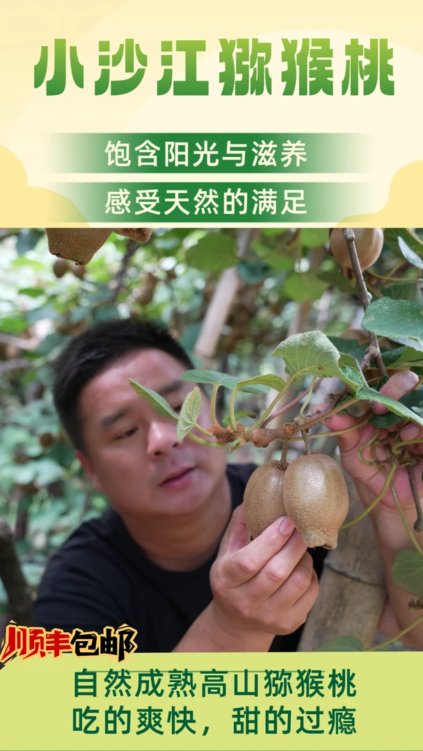 湖南隆回小沙江高山富硒翠玉绿心猕猴桃 软糯多汁 顺丰包邮