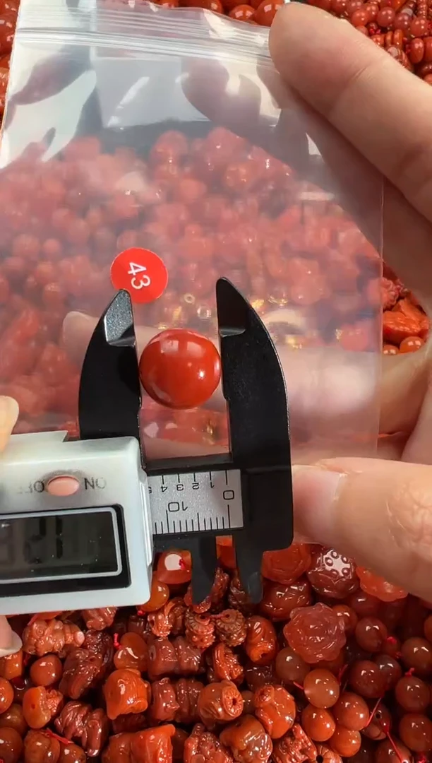 【闪购商品】南红玛瑙颈饰未镶嵌1