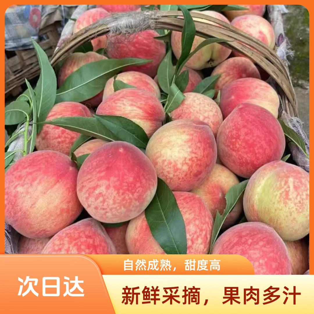 【新鲜久保大桃3-5斤】脆甜口毛桃 新鲜采摘味道浓郁汁水充足京东顺丰发货当季新鲜水果桃子北京市
